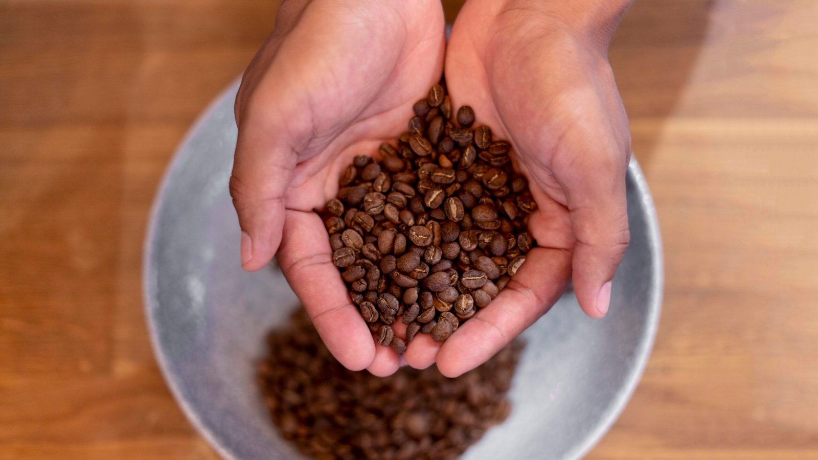 close up hands holding coffee beans