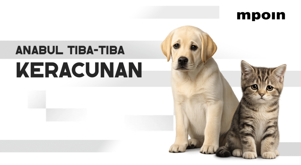 Anabul Keracunan Tanpa Sebab Jelas? Coba Cek Ini di Rumahmu - MPOIN