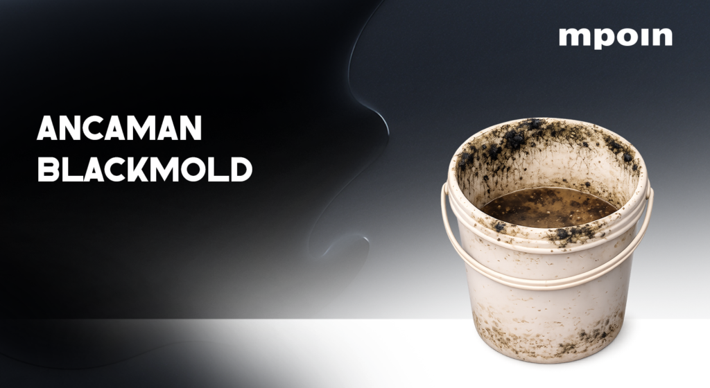 Mengenal Black Mold: Ancaman Jamur Hitam di Rumah & Dampaknya pada Kesehatan Keluarga - MPOIN