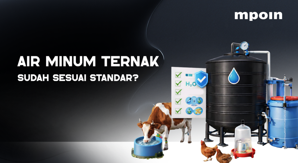 Sering Diremehkan, Ini Dampak Nyata Kualitas Air pada Ternak - MPOIN
