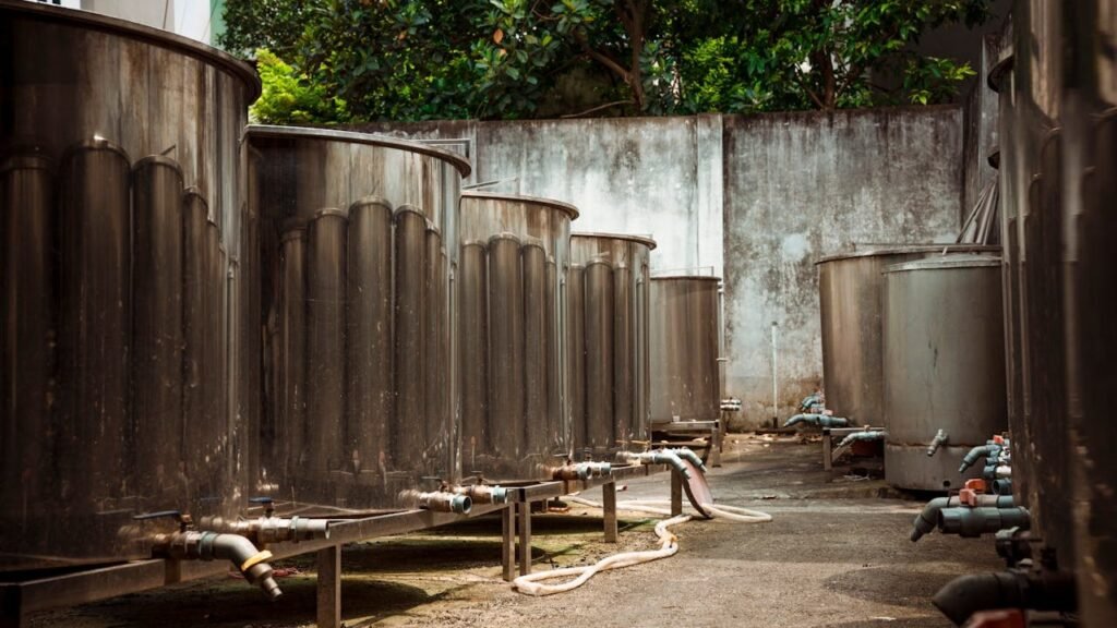 pexels hson 26733910 (2)